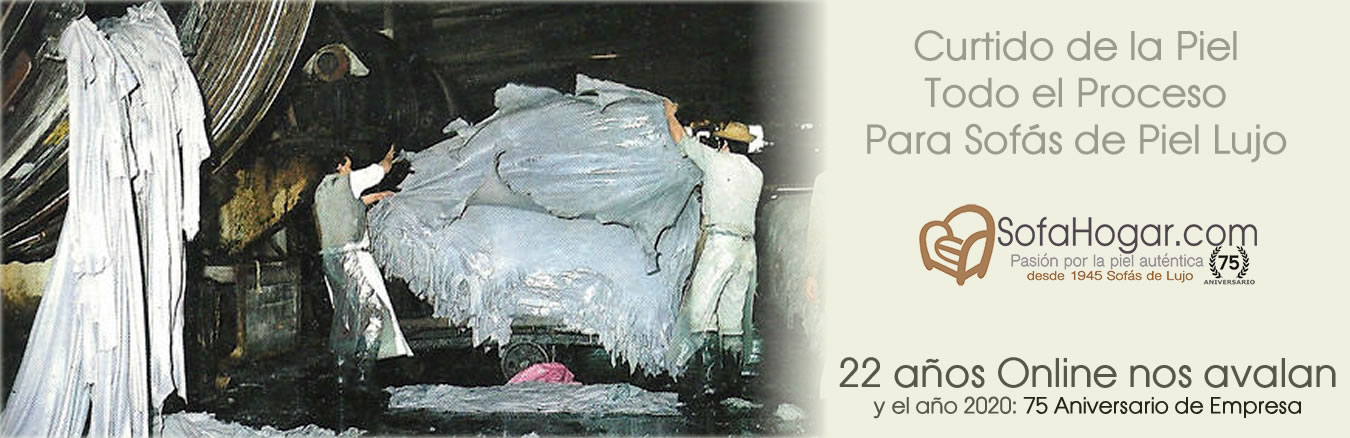 Curtido de la Piel para sofás